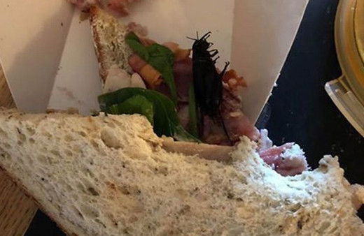 Ünlü mağazanın sandviçinden böcek çıktı