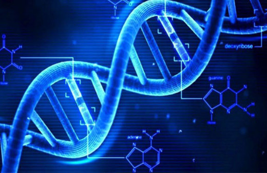 DNA testleri de Black Friday indirimine girdi!