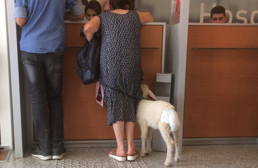 31 Aralık 2018 bankalar açık mı pazartesi kaça kadar açık? 