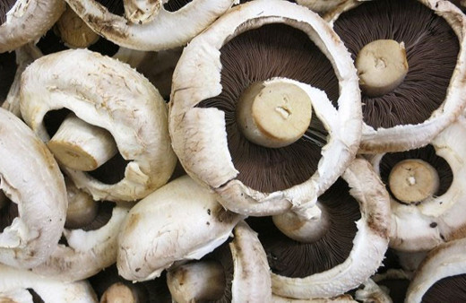 Hızlı kilo vermek isteyenler bu mantarı tüketebilir