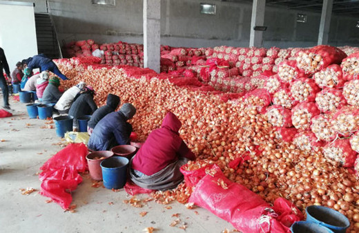 Soğan üreticisi sonunda isyan etti 'Stokçu değiliz'