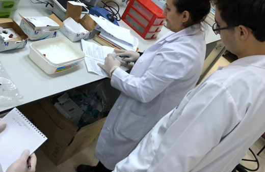 Doğa Koleji Mostratece bilim olimpiyatlarının finaline kaldı 