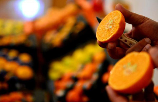 Narenciye üreticileri Rusya'ya tepkili 'Analiz bahane'