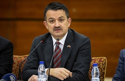 Bakan Pakdemirli'den soğan açıklaması 'Takipteyiz'