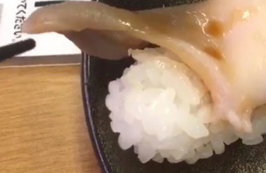 Masaya getirilen istiridye canlandı