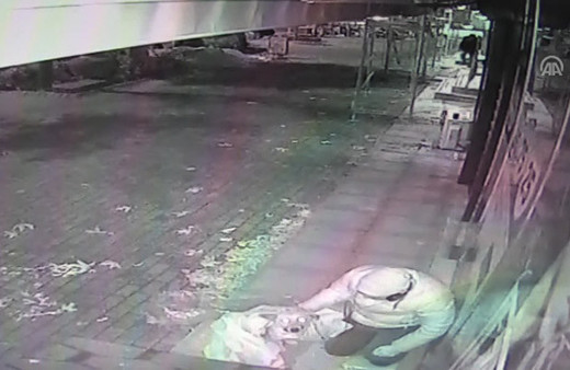 Montunu üşüyen köpeğe örten kişi mest etti belediye başkanı onu arıyor