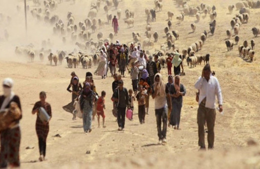 Kamu Denetçisi uyardı 'Suriyeliler gitmeyecek kalıcı politika lazım'