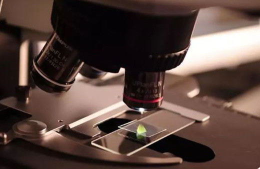 Bilim için çok zor değil! Her cisim kendisini tamir edebilecek