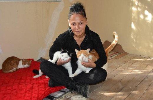 Genelevde kedi kavgası Terk edip gitti