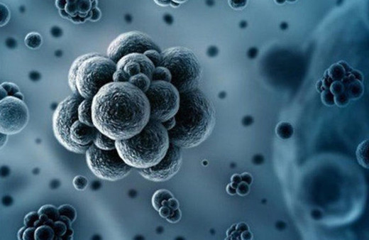 OECD korkutan rakamı açıkladı! En riskli ülke Türkiye