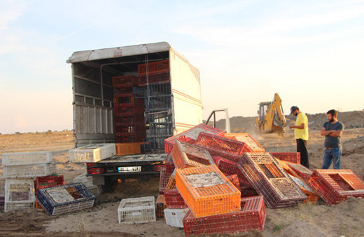 Bu iş böyle olmaz canlı canlı gömdüler 