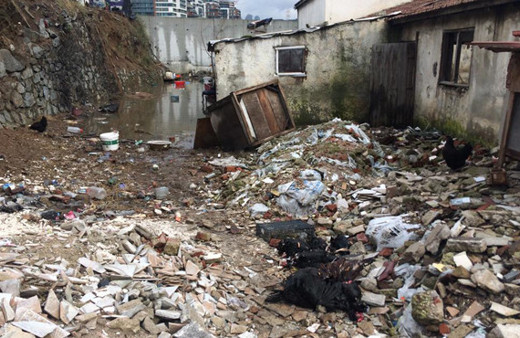 Kağıthane'de korkunç olay! Telef oldular