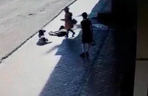 Korku dolu anlar! Sokak köpekleri küçük kıza saldırdı