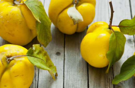 Kış aylarında ayva yemenin faydaları nelerdir?