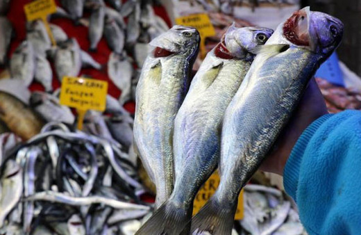 15 senedir böylesi görülmedi! Fiyatı yarı yarıya düştü