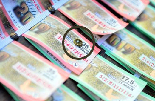 Uyanık piyangocunun yaptığı şeytanın aklına gelmez! Güvercin kakalı bilet...