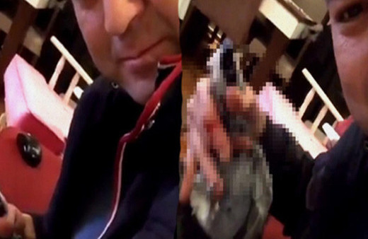 MasterChef Murat'ın papağana işkence görüntüleri!