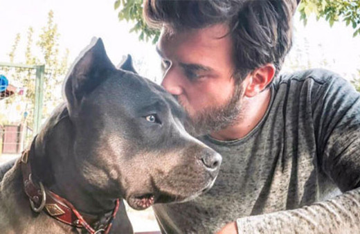 Kıvanç Tatlıtuğ köpeklerinin kulağını mı kesti ateş püskürdü