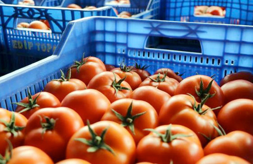Domates fiyatlarına zam geliyor pazar genişledi maliyet arttı