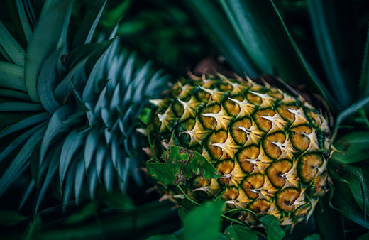 Kabuklarını sakın çöpe atmayın öksürük şurubu yapın