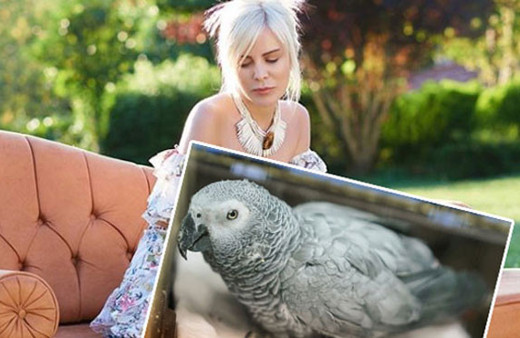 Ömür Gedik papağan Bahtiyar'ın acı haberini böyle verdi! 