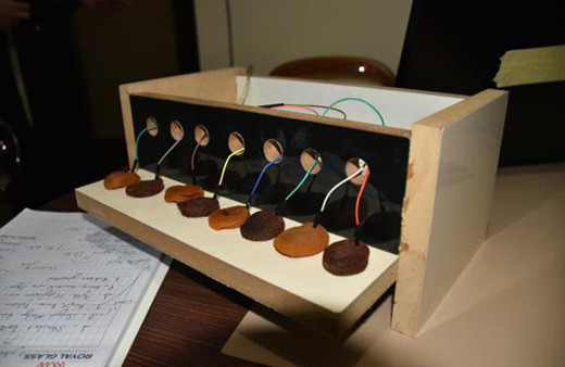 Malatya’da kayısıdan piyona yaptılar