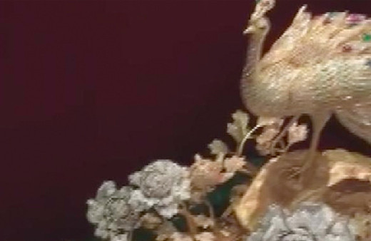 İstanbul'da milyonlarca dolarlık 'tavus kuşu' çalındı