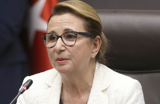 Ticarette 2019'un yol haritası netleşti Bakan Pekcan açıkladı