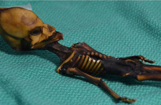 15 cm'lik iskeletin gizemi çözüldü! Kriz başladı