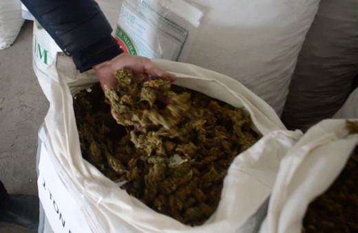 Ticaret Bakanlığı açıkladı! Gümrükte rekor esrar yakalandı