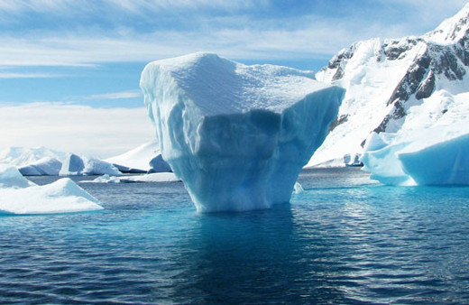 Bilim insanlarından korkutan açıklama! 50 yıl içinde yok olacak