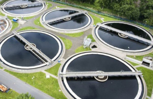 Dünyadaki 8 milyar insanın atıkları bakın nereye gidiyor