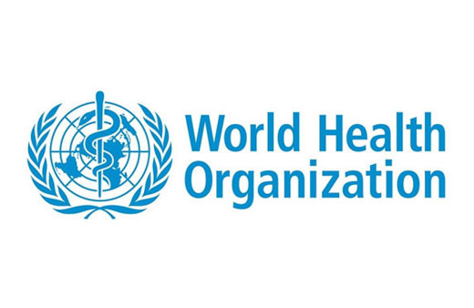 Dünya Sağlık Örgütü'nden (WHO) Bursa'ya övgü
