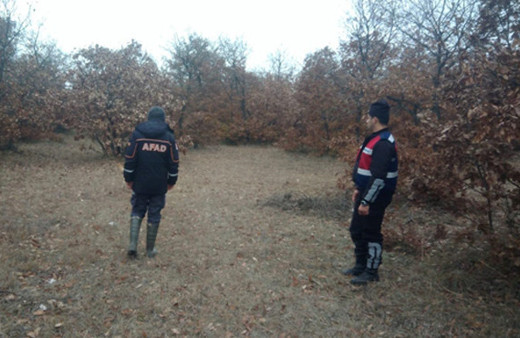 Odun kesmek için ormana gitti! Sonrası kabus