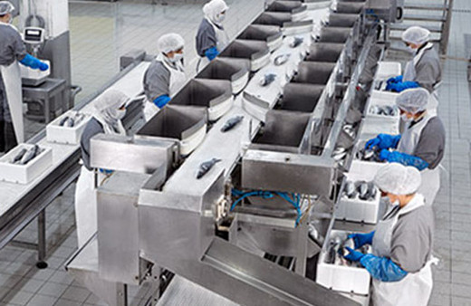 Konkordato salgını balığada sıçradı