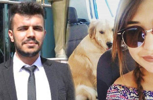 Sahiplerinin arasında kalan köpek mahkemelik oldu dava ertelendi