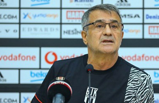 Şenol Güneş'ten Milli Takım itirafı