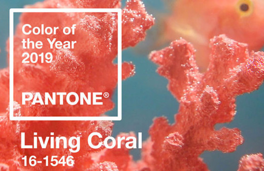 2019 yılının en moda olacak rengi tanıtıldı: Canlı Mercan