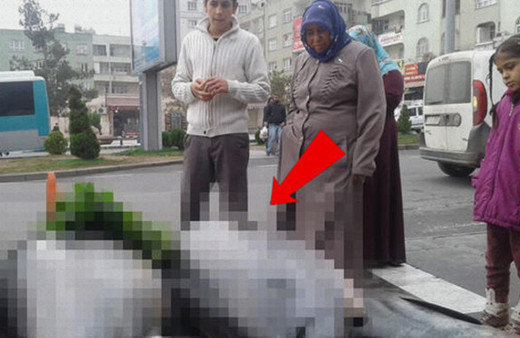 Yer Şanlıurfa: Görenler şaşkınlığını gizleyemedi!