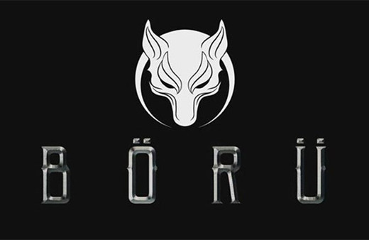 Börü 28 Şubat Çarşamba akşamı Star'da!
