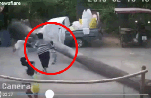 Nefes kesen görüntüler!Yola devrilen devasa ağaç küçük çocuğu teğet geçti