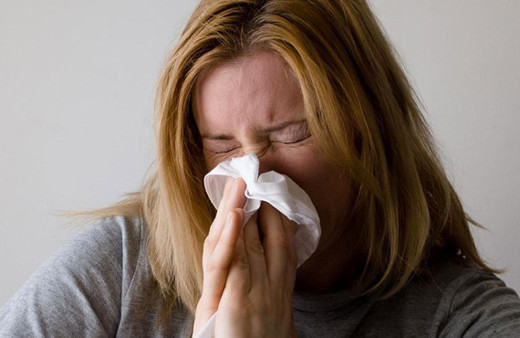 Bu salgın domuz gribinden de beter!