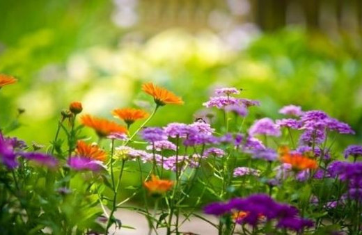 Cemre nedir 2018 ilk cemre ne zaman düşecek?