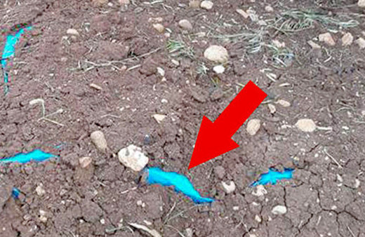 Afrin'de dikkat çeken kare! Mehmetçik ortaya çıkardı