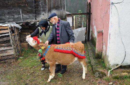 14 Şubat'ta en çok yalnızlar konuştu Sevgililer günü capsleri kırdı geçirdi