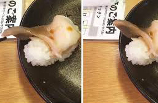 Tabaktaki suşi canlanıp hareket etmeye başlayınca...