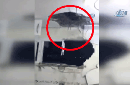  Suriye’den atılan roket evin tavanını deldi