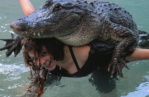 Bu kadarına da pes doğrusu bu kadın tüm gün timsahlarla 