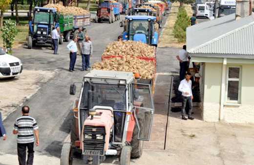 Devlet şeker fabrikalarını satıyor çiftçinin ürünü ne olacak?