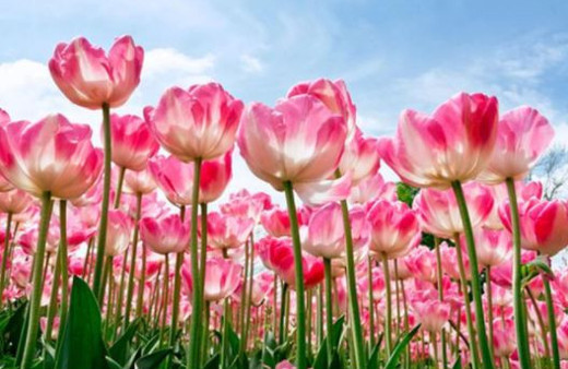 İkinci cemre ne zaman nereye düşecek belirtileri neler